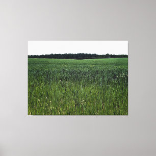 Toile Vaste Champ Vert sous un Ciel Clair