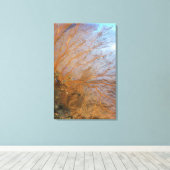 Toile Ventilateur géant gorgonien (Plexauridae sp.) (Insitu (Plancher de Bois))