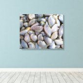 Toile Venus Clam [ห อ ย ล า ย] (Insitu (Plancher de Bois))