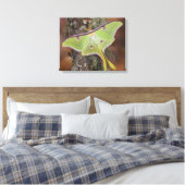 Toile Ver à soie luna (Insitu(Chambre))