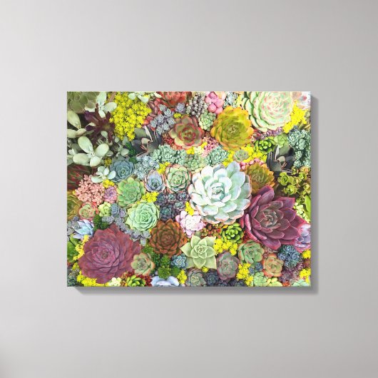 Toile Verdure colorée Succulents (Recto)