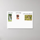 Toile verrouillage souple (Recto)