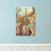 Toile Vers, Annelids Chaetopoda par Ernst Haeckel (Insitu (Plancher de Bois))