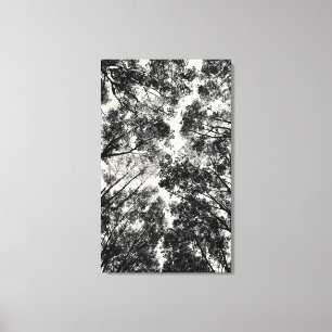 Toile Vers le haut de par les arbres, images de SVP de