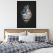 Toile Version couleur Shells No 6 (Insitu(Chambre))