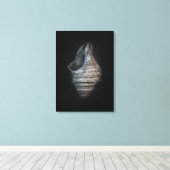 Toile Version couleur Shells No 6 (Insitu (Plancher de Bois))