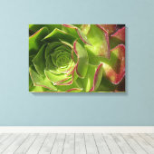 Toile Vert (Insitu (Plancher de Bois))