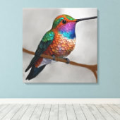 Toile Vibrant Allen’s Hummingbird Painting (Insitu (Plancher de Bois))