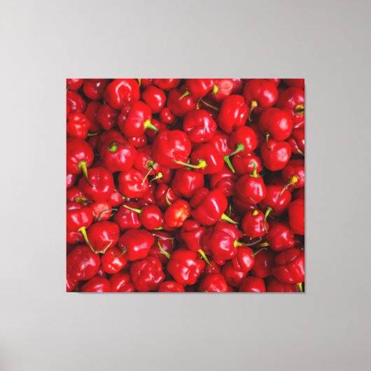 Toile Vibrant Red Chili Pepper Harvest (Recto)