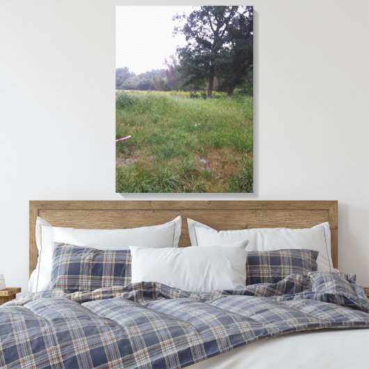 Toile Vie agricole en Illinois (Insitu(Chambre))