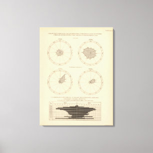 Toile Vieillesse des 119 décès, les maladies