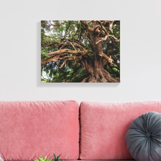 Toile Vieux Olivier rustique (Insitu(Salon))