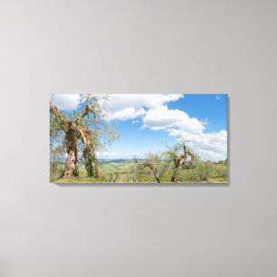 Toile Vieux oliviers dans un paysage en Toscane
