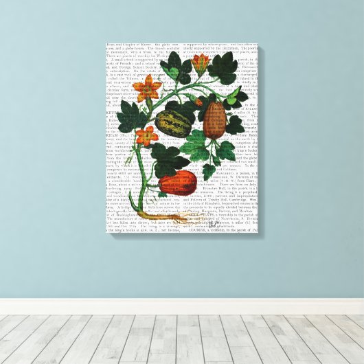 Toile Vigne de squash 1 (Insitu (Plancher de Bois))