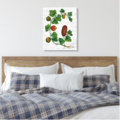 Toile Vigne de squash 3 (Insitu(Chambre))