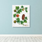 Toile Vigne de squash 3 (Insitu (Plancher de Bois))