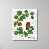 Toile Vigne de squash 3 (Recto)