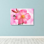 Toile Vigne Mandevilla rose (Insitu (Plancher de Bois))
