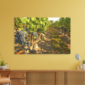 Toile vignes de Cabernet Sauvignon alignées dans le (Insitu(Salon))