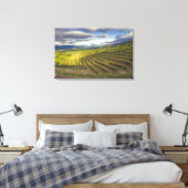 Toile Vignoble. Napa Valley. Napa. Comté de Napa, (Insitu(Chambre))