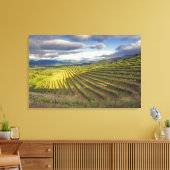 Toile Vignoble. Napa Valley. Napa. Comté de Napa, (Insitu(Salon))