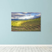 Toile Vignoble. Napa Valley. Napa. Comté de Napa, (Insitu (Plancher de Bois))