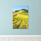Toile Vignoble, Stellenbosch, Cap-Occidental (Insitu (Plancher de Bois))