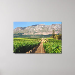 Toile Vignobles De Groot Constantia