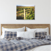 Toile Vignobles jacuzzi dans les raisins (Insitu(Chambre))