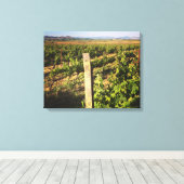 Toile Vignobles jacuzzi dans les raisins (Insitu (Plancher de Bois))