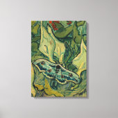 Toile Vincent van Gogh - Giant Peacock Moth (Recto)