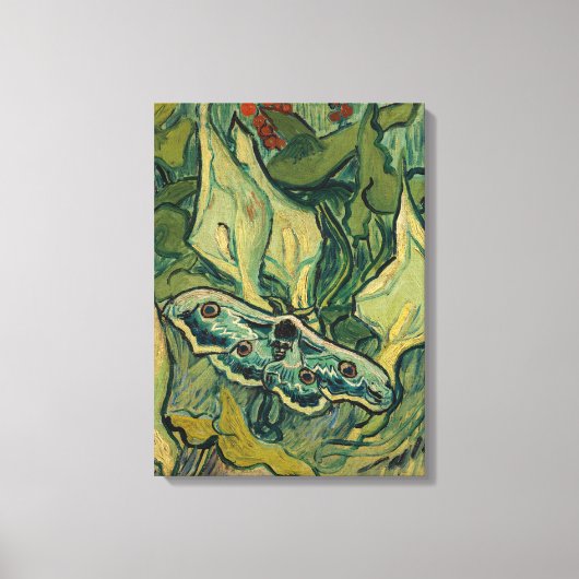 Toile Vincent van Gogh - Giant Peacock Moth (Recto)