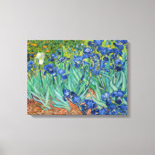 Toile Vincent Van Gogh - Irises (Recto)