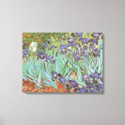 Toile Vincent van Gogh - Irises (Recto)