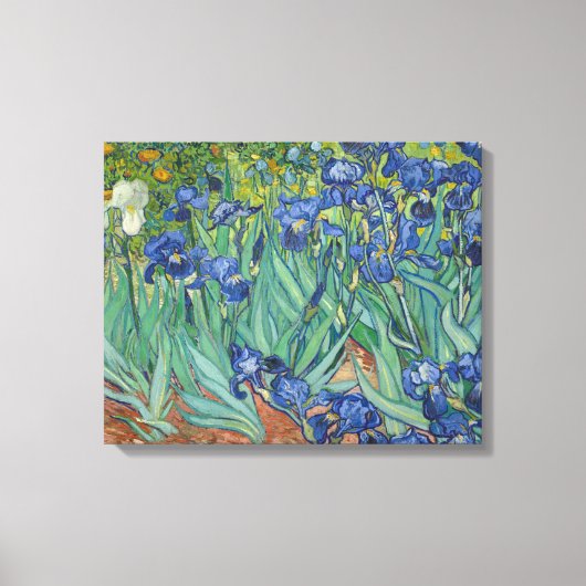 Toile Vincent van Gogh - Irises (Recto)