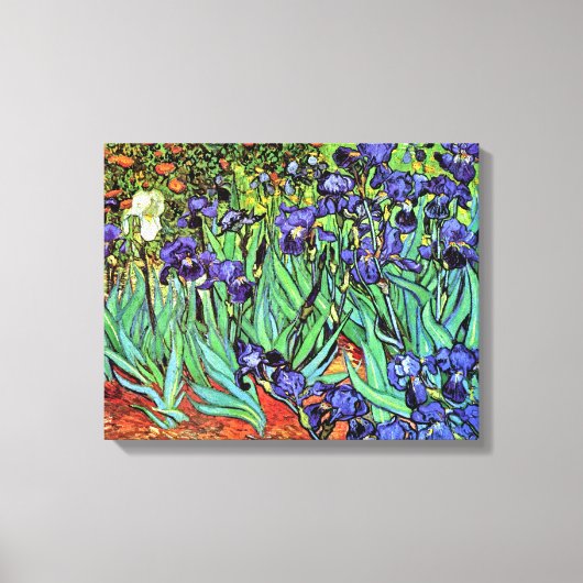 Toile Vincent Van Gogh - Les Iris - Flower Lover Fine Ar (Recto)