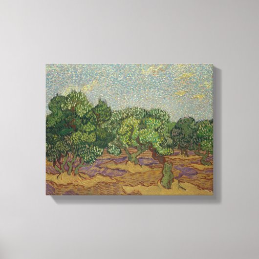 Toile Vincent van Gogh - Olive Trees (Recto)