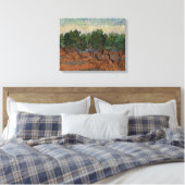 Toile Vincent van Gogh - Oliveraie (Insitu(Chambre))