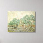 Toile Vincent van Gogh - Récolte des olives (Recto)