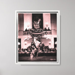 Toile Vintage Autriche Vienne Courbette Espagnole