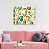 Toile Vintage Bird Eggs French Fish Egg (Insitu(Salon))