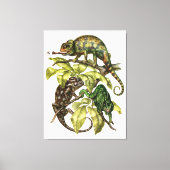 Toile Vintage Chameleon Lizard (Recto)
