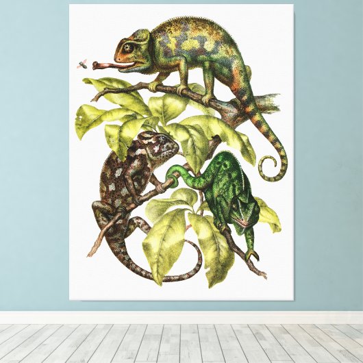 Toile Vintage Chameleon Lizard (Insitu (Plancher de Bois))