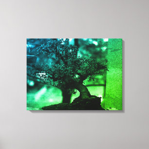 Toile Vintage Chine Guilin bonsai miniature bonsai Pot