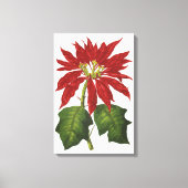 Toile Vintage Noël, Rouge Poinsettia Plante d'hiver (Recto)