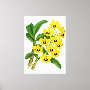 Toile Vintage Orchid Flower