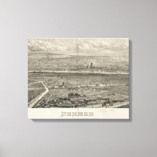 Toile Vintage Pictorial (Recto)