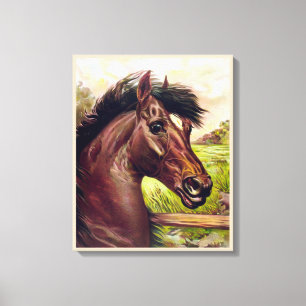 TOILE VINTAGE PORTRAIT DE CHEVAL DE STALLION. FACE FORTE