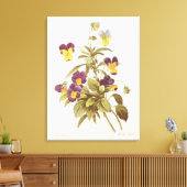 Toile Viola Tricolor (Insitu(Salon))