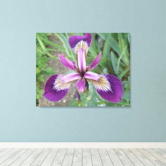 Toile violet Iris (Insitu (Plancher de Bois))